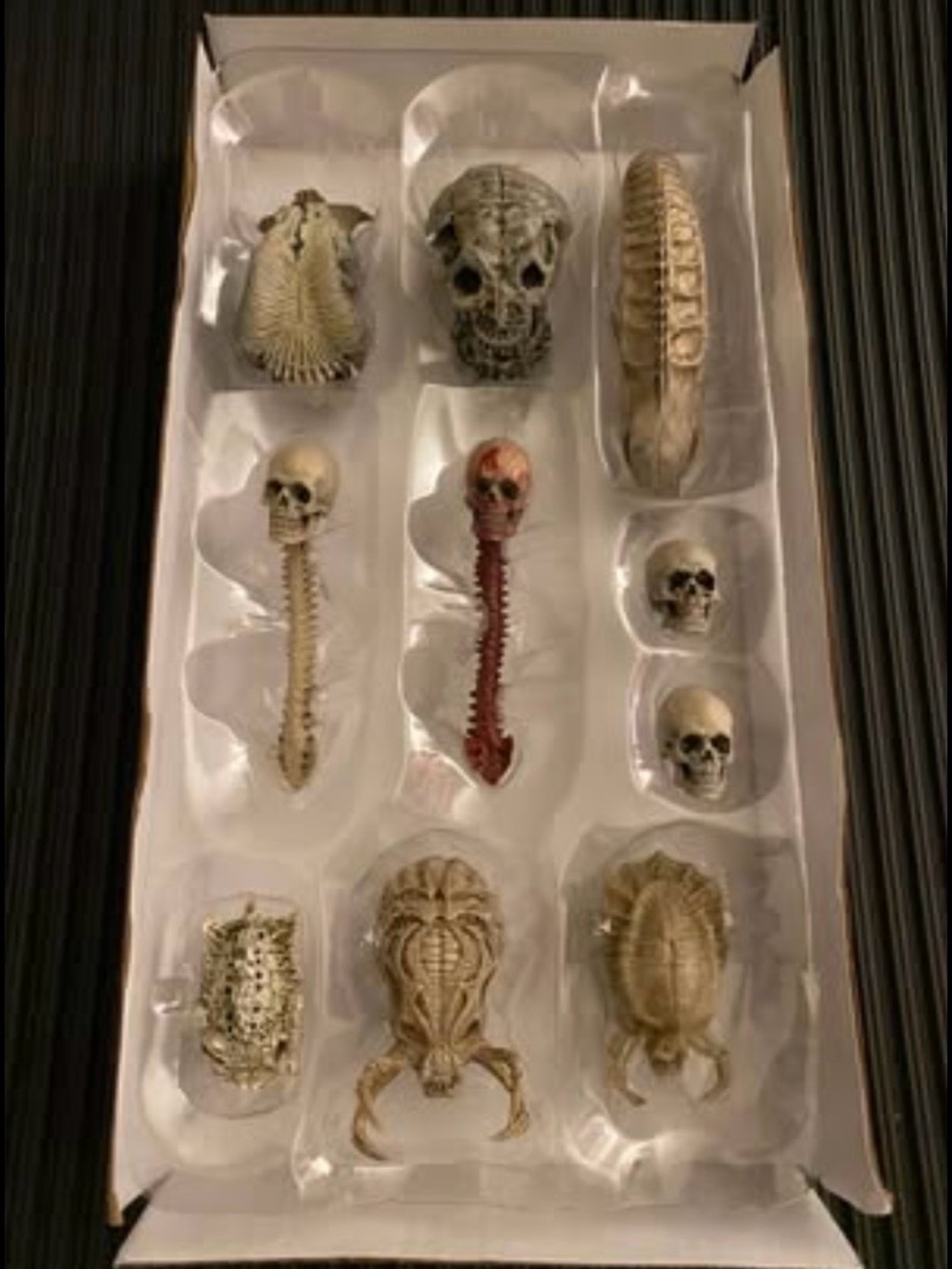 Reptile Tank Skull & Bones Décor Set - Beige/Brown